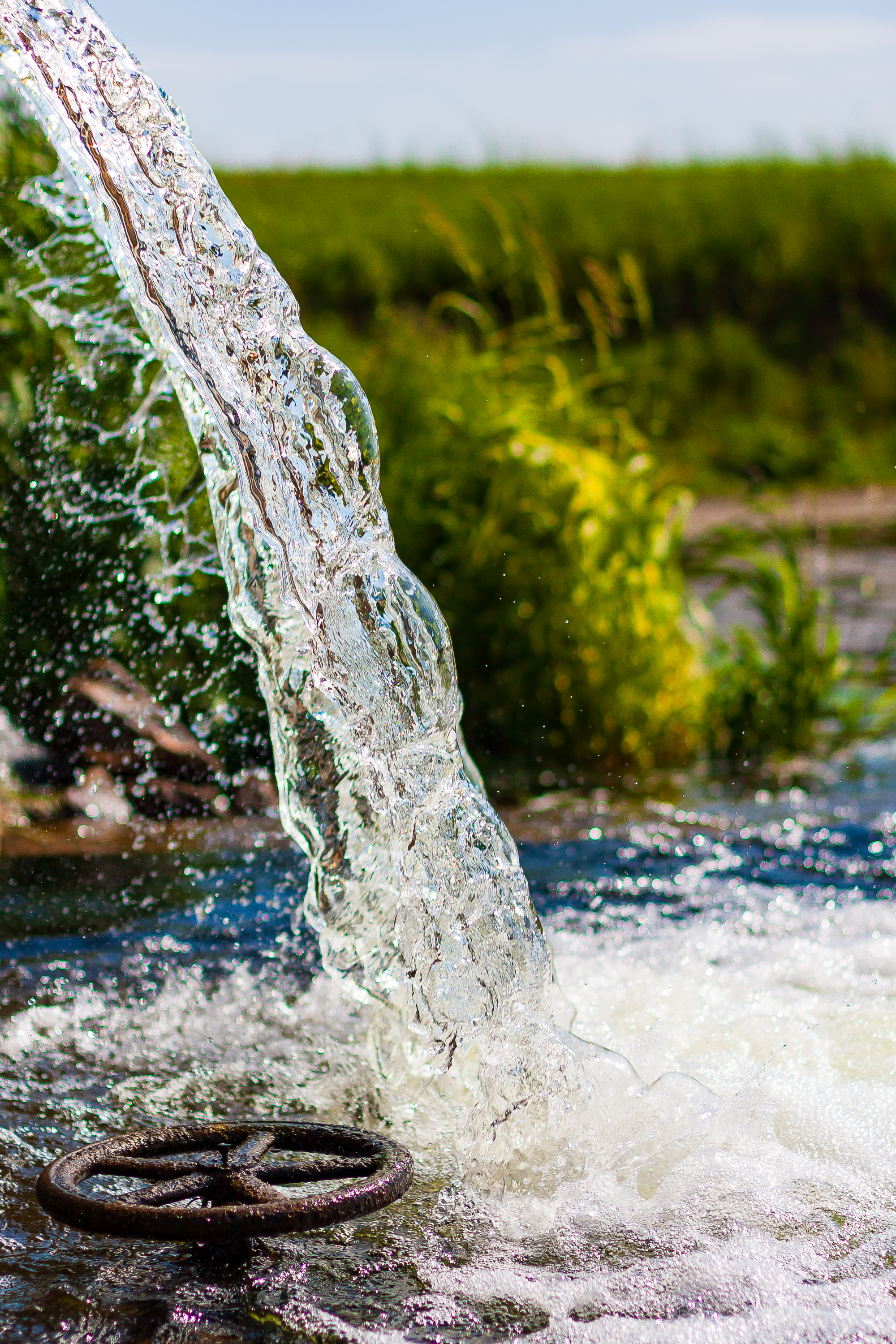 Wasser