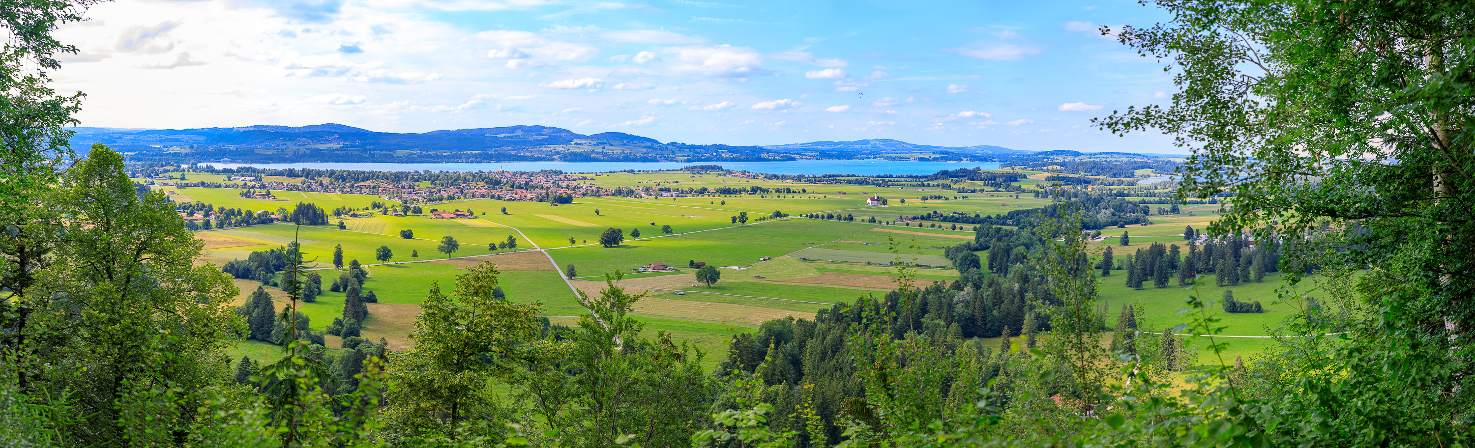 Forggensee