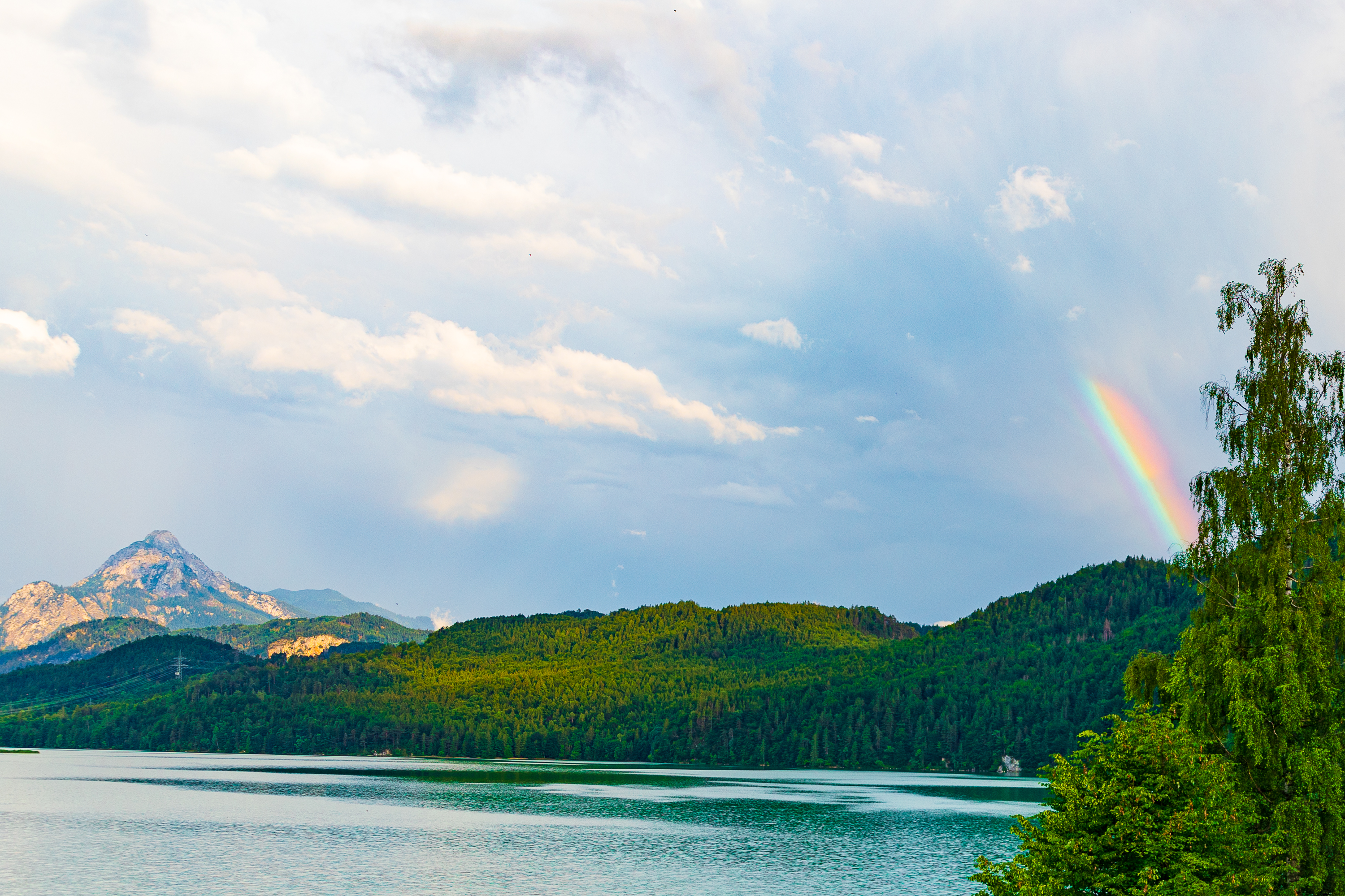 Regenbogen