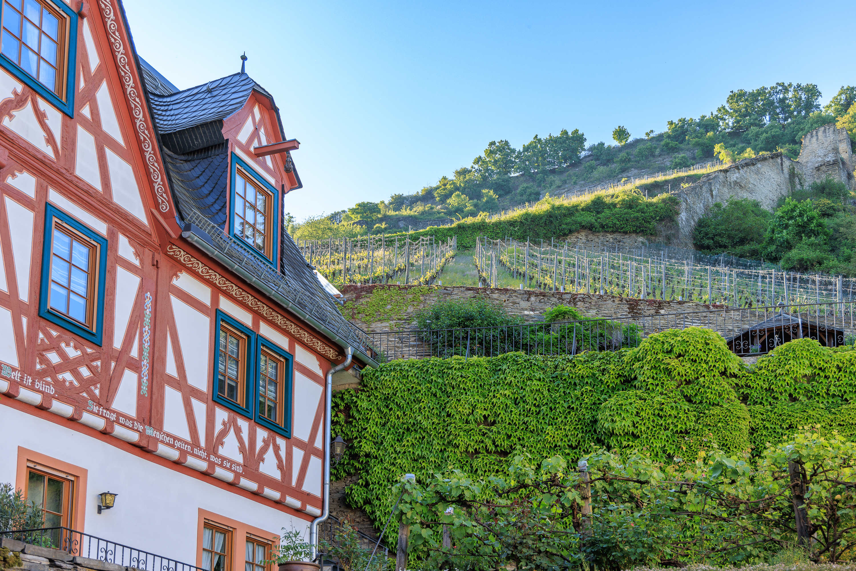 Weinberg