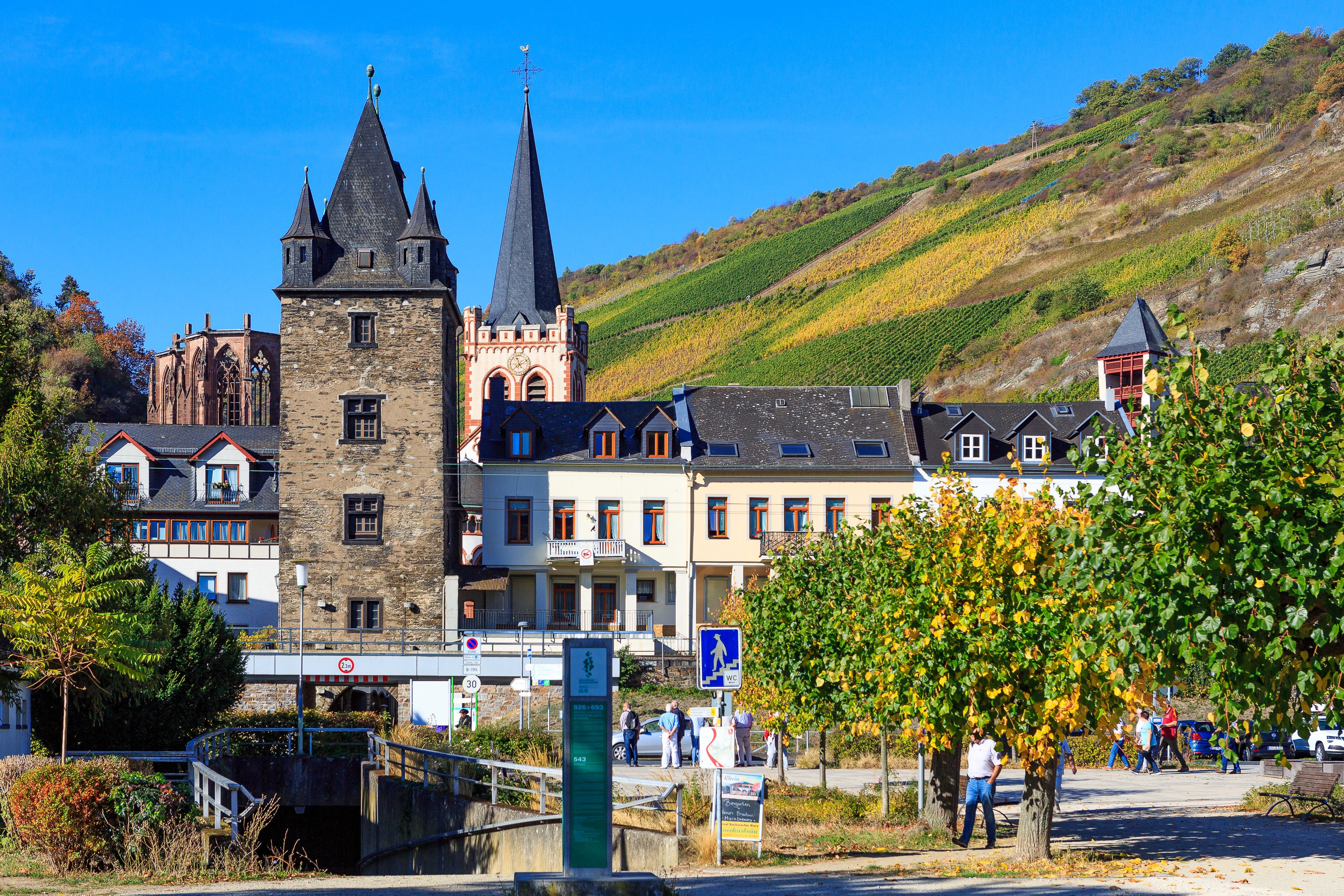 Bacharach