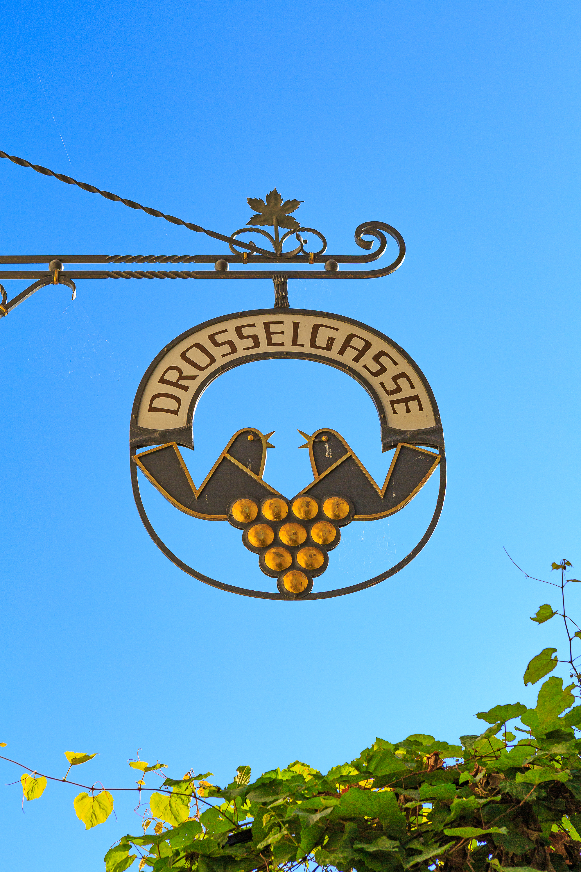 Drosselgasse