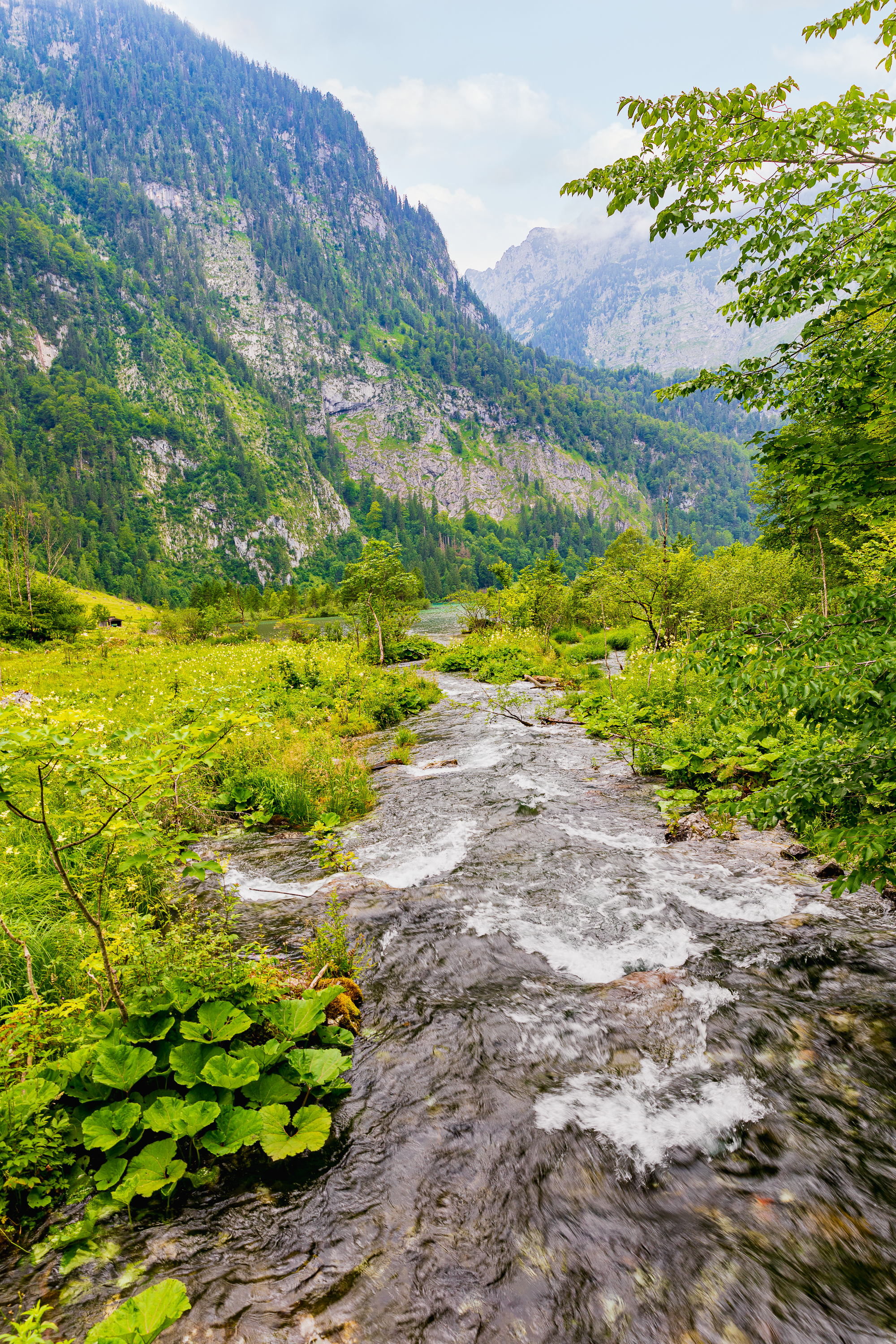 Saletbach