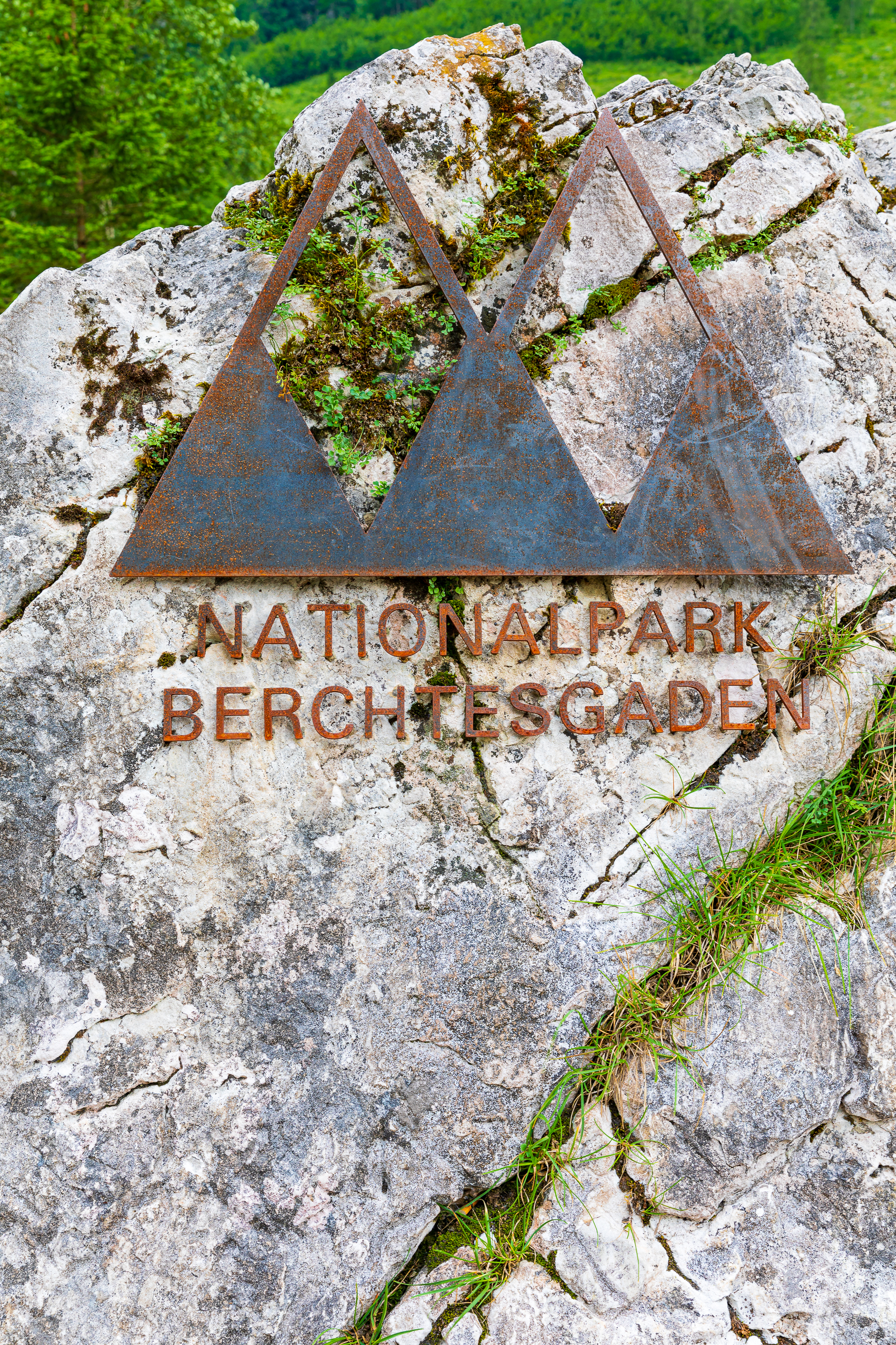 Schild