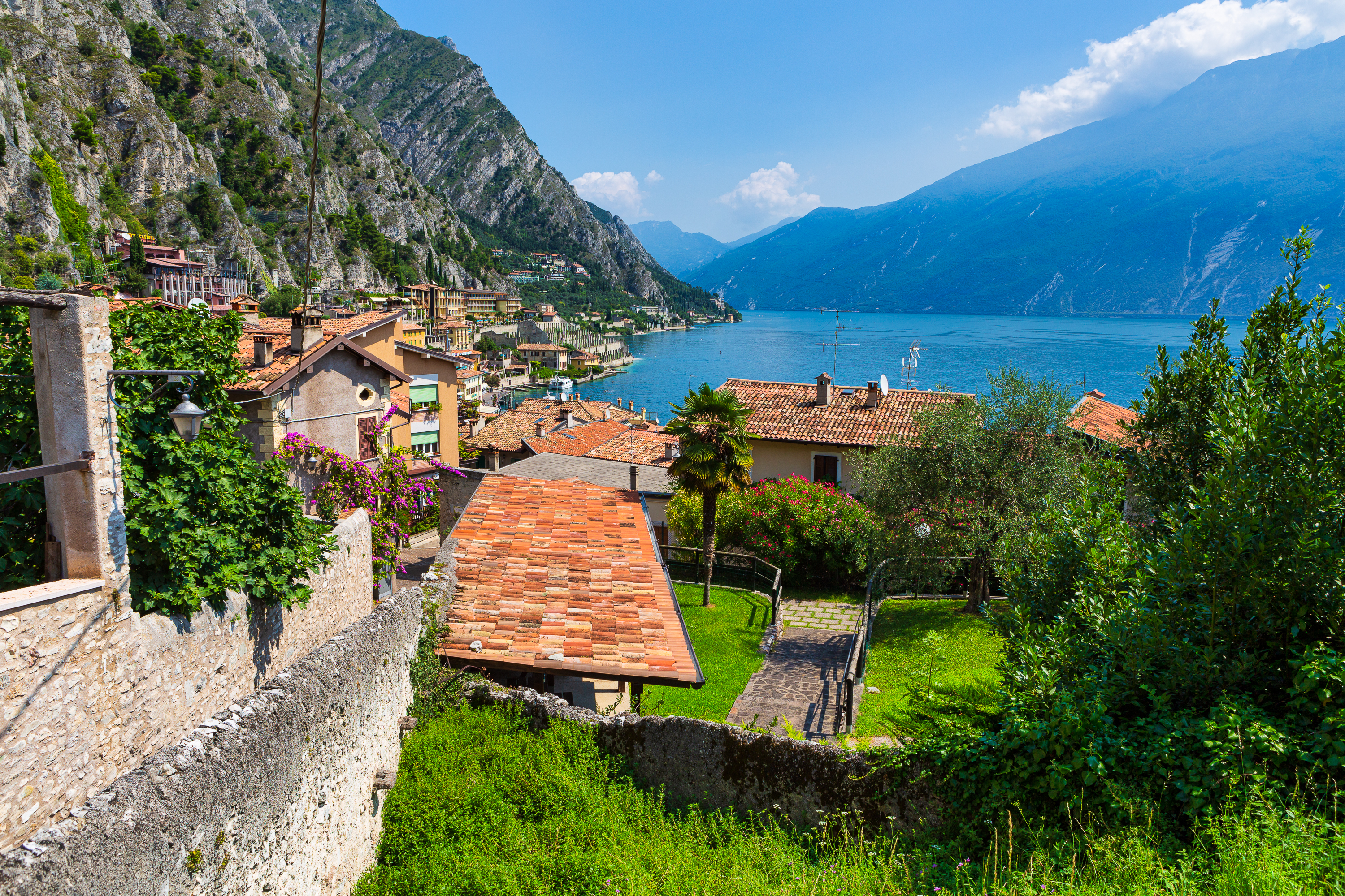 Limone