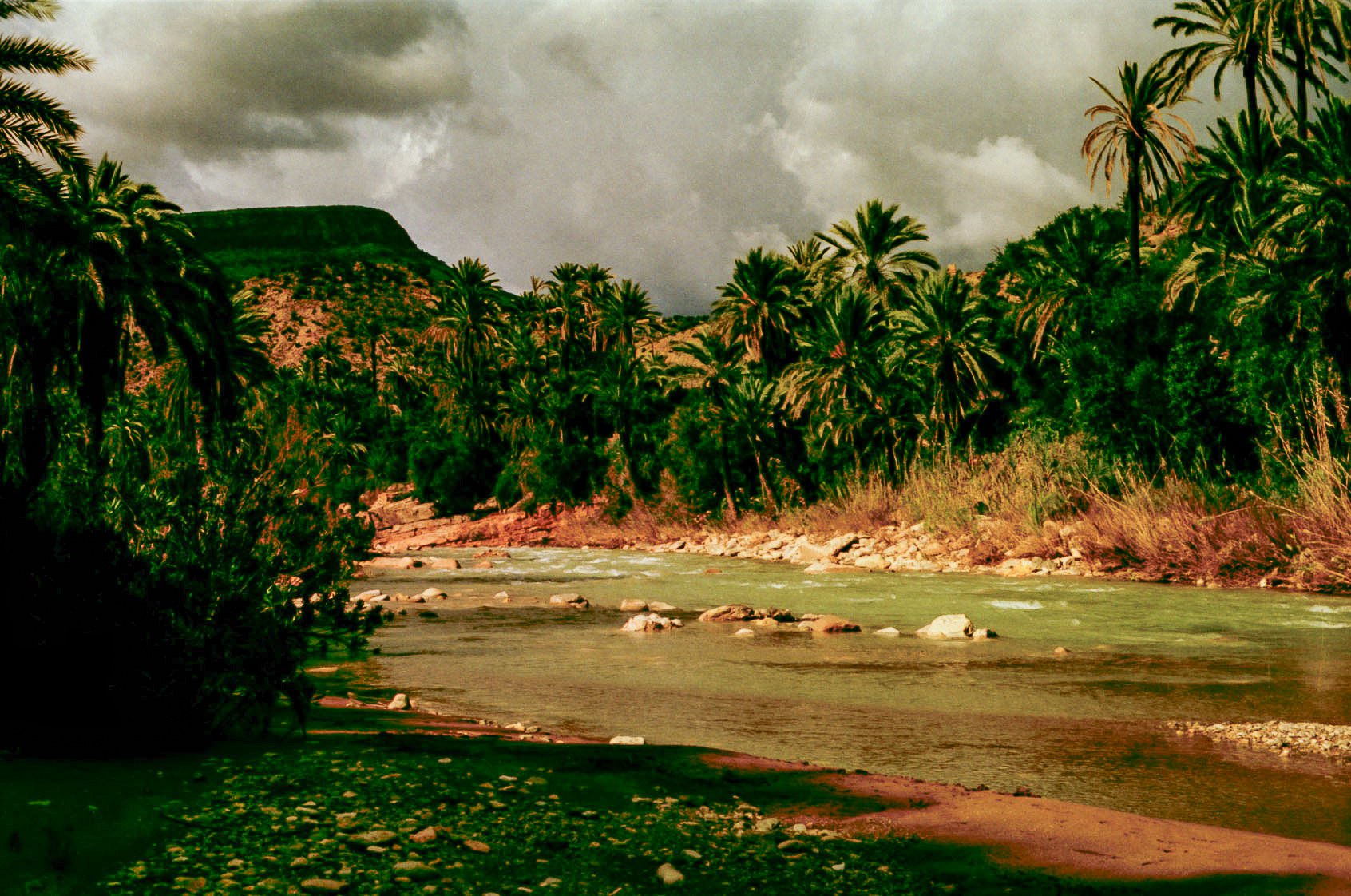 Paradise Valley