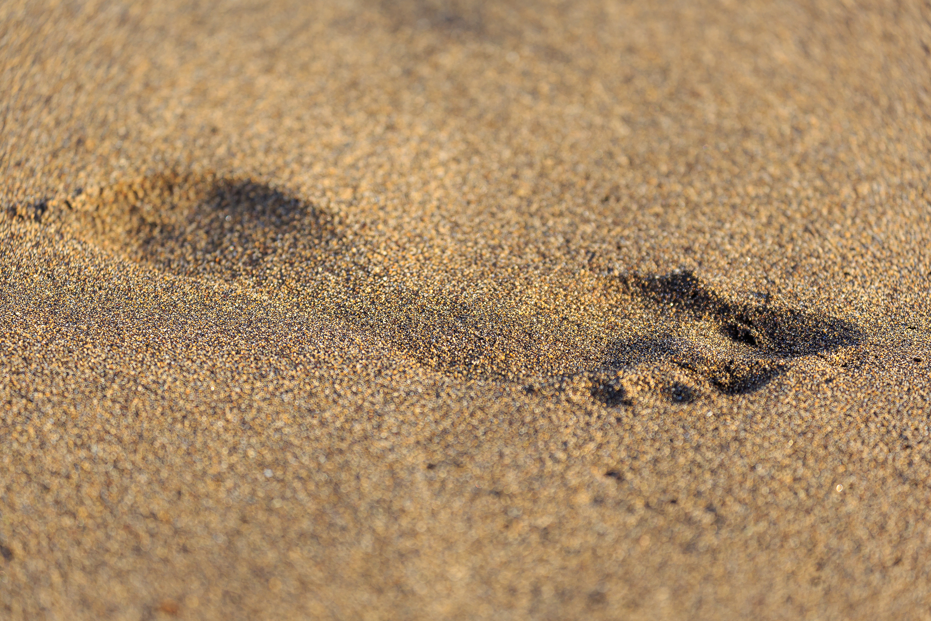 Lanzarote