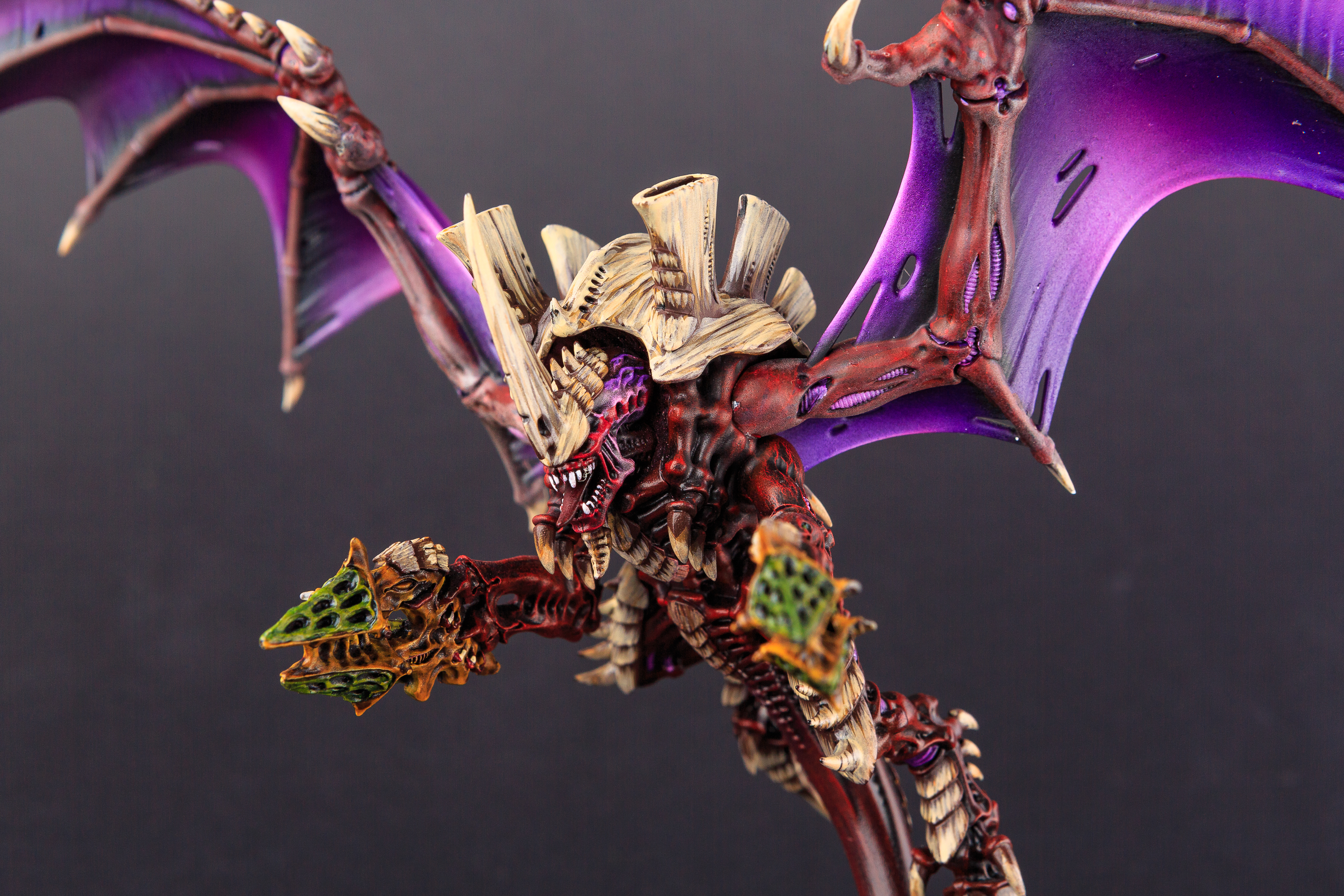 Schwarmtyrant