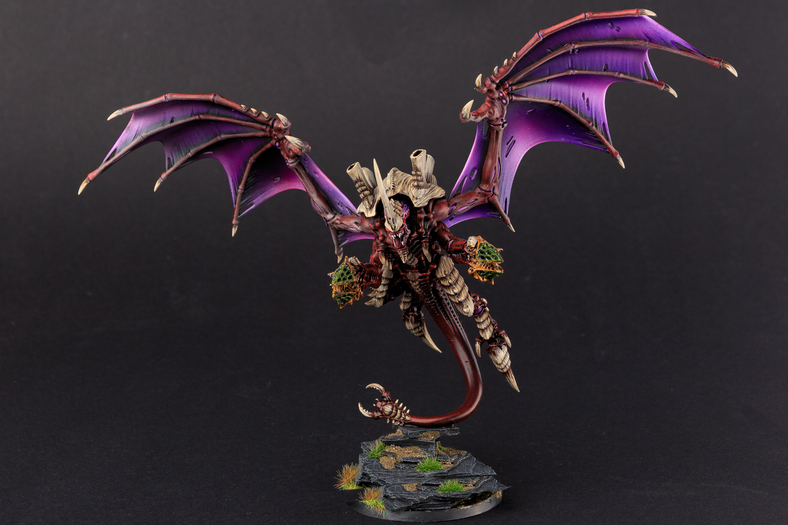 Schwarmtyrant